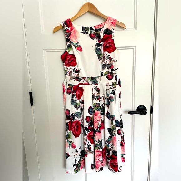 Papillon Floral Fit and Flare Dress - Picture 1 of 5